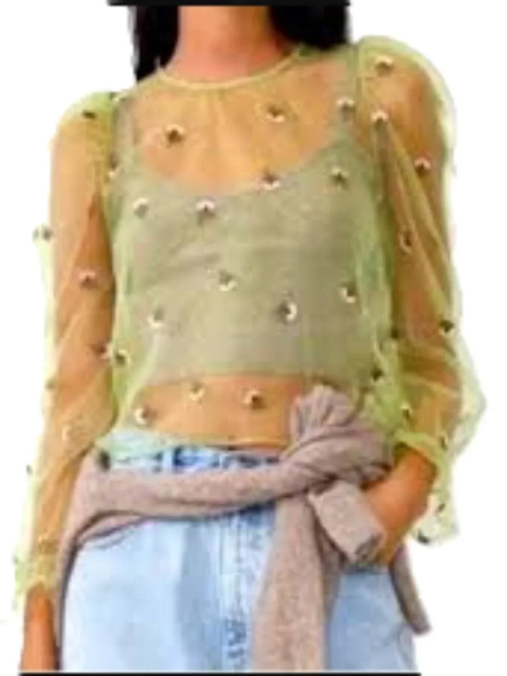 Zara Light Green Floral Embroidered Organza Puff Sleeve Blouse Sheer Top Medium